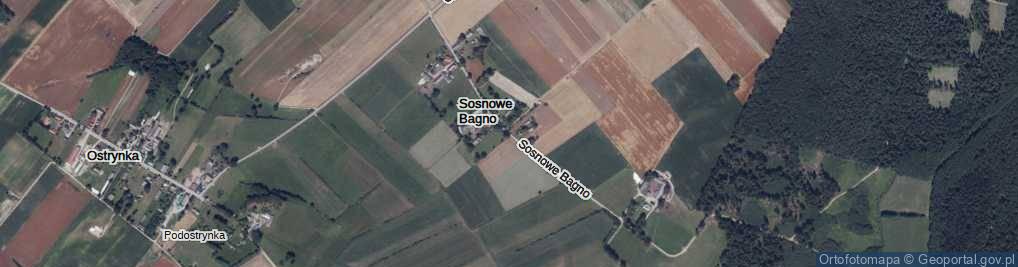 Zdjęcie satelitarne Sosnowe Bagno ul.